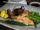 Yellowtail Collar