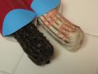 Triple Chocolate and Berry Blast