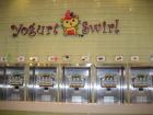 Yogurt Swirl