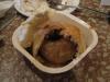 Apple Dumpling with Vanilla Ice Cream