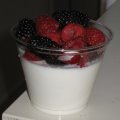 Russian Cream Russian Cream