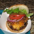 Buffalo Burger