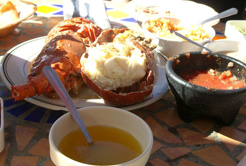 lobster.jpg